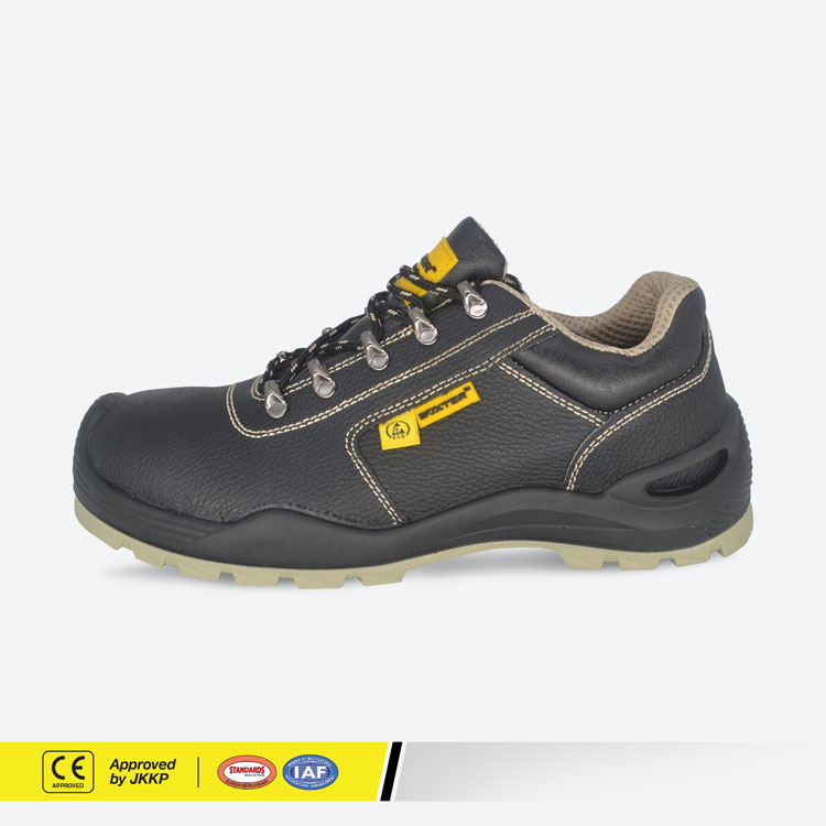 robust-boxter-safety-shoes-main-photo